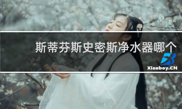 斯蒂芬斯史密斯净水器哪个