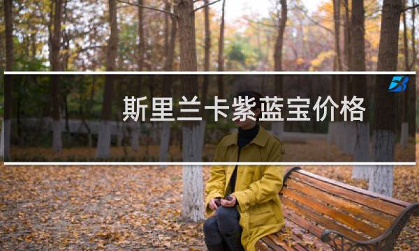 斯里兰卡紫蓝宝价格