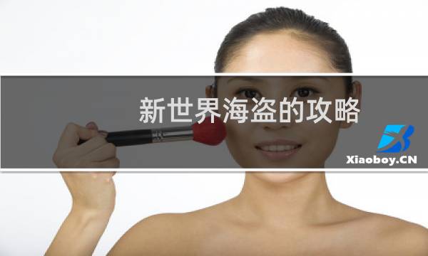 新世界海盗的攻略