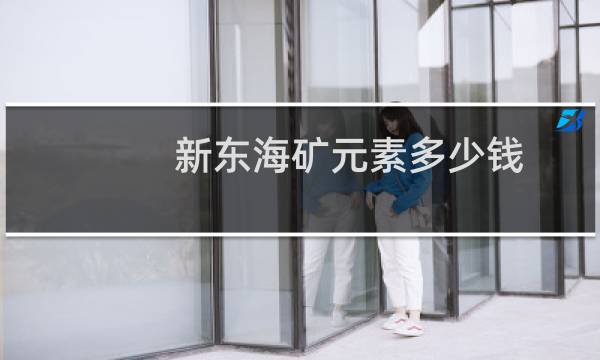 新东海矿元素多少钱
