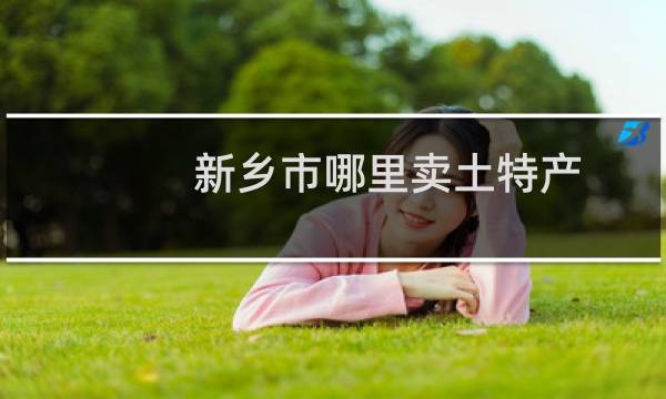 新乡市哪里卖土特产