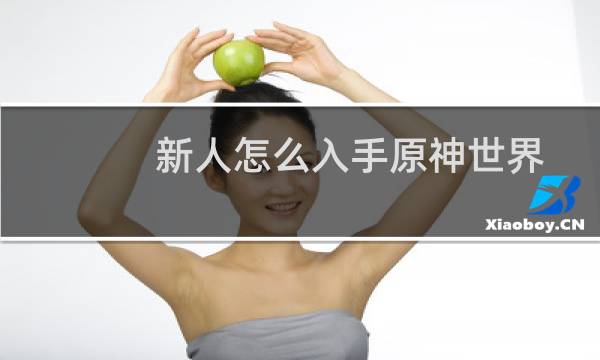 新人怎么入手原神世界