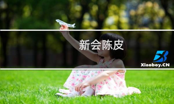 新会陈皮 价格