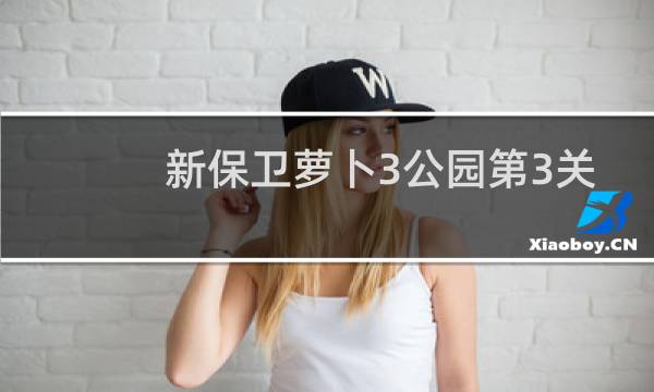新保卫萝卜3公园第3关