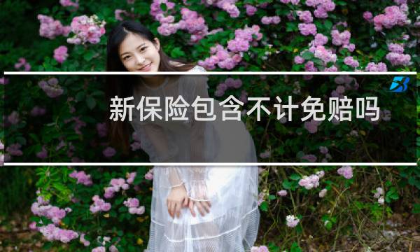 新保险包含不计免赔吗