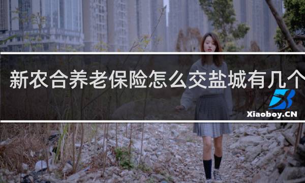 新农合养老保险怎么交盐城有几个档次