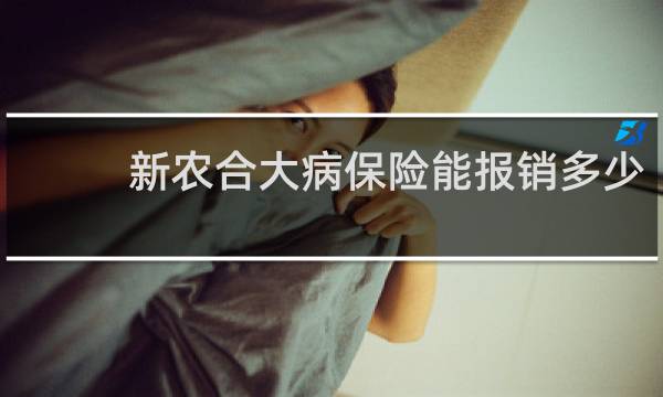 新农合大病保险能报销多少