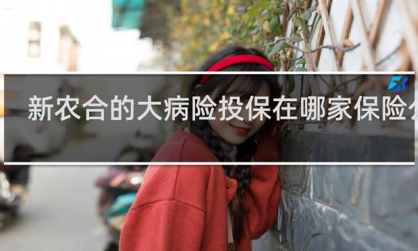 新农合的大病险投保在哪家保险公司