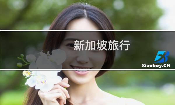 新加坡旅行 险