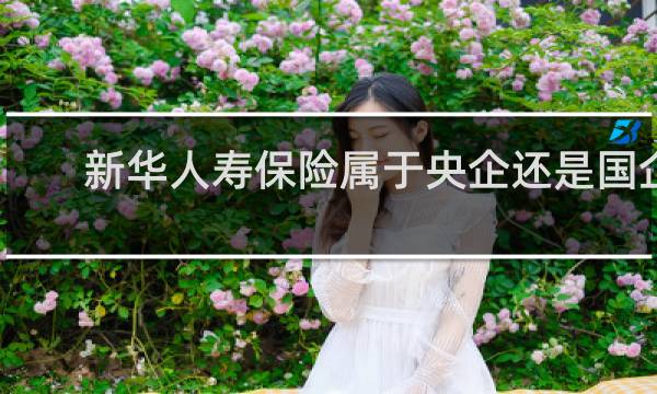 新华人寿保险属于央企还是国企
