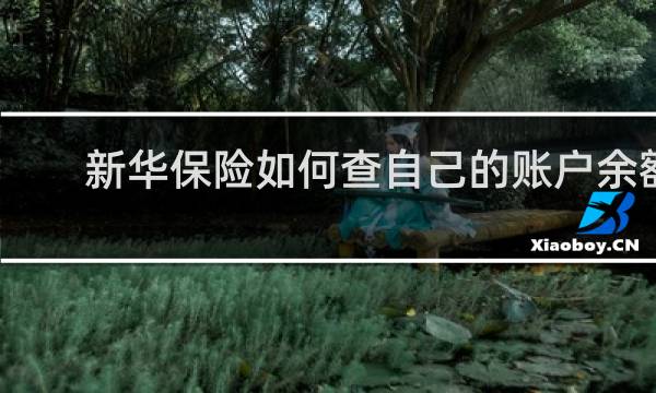 新华保险如何查自己的账户余额