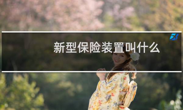 新型保险装置叫什么