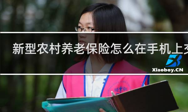 新型农村养老保险怎么在手机上交费