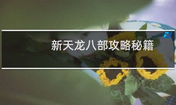新天龙八部攻略秘籍