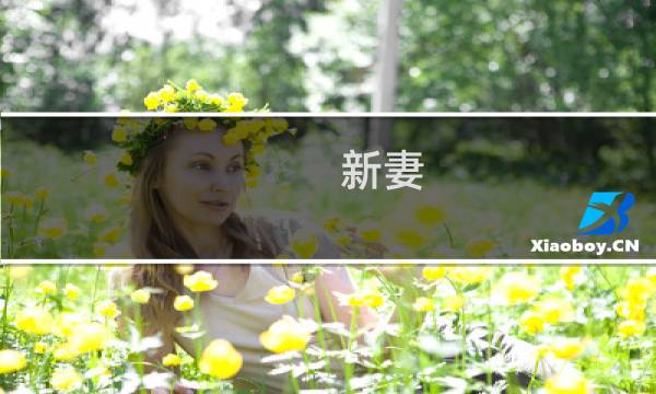 新妻  攻略