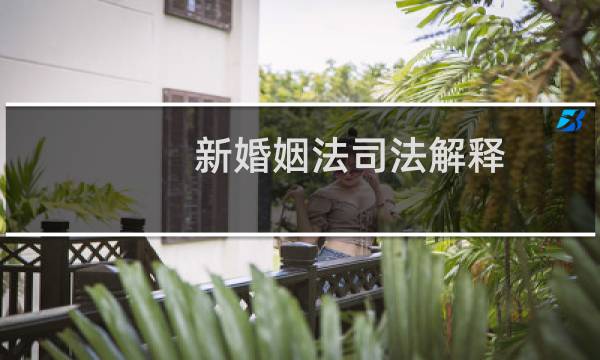 新婚姻法司法解释