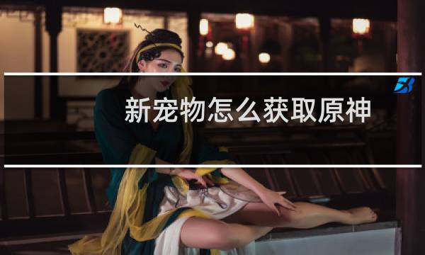 新宠物怎么获取原神