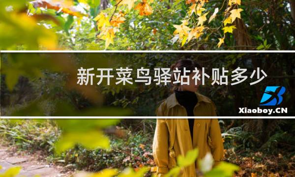 新开菜鸟驿站补贴多少
