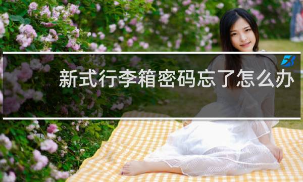 新式行李箱密碼忘了怎么辦