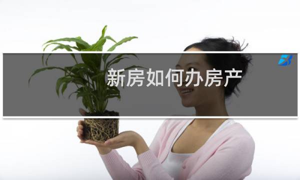 新房如何办房产