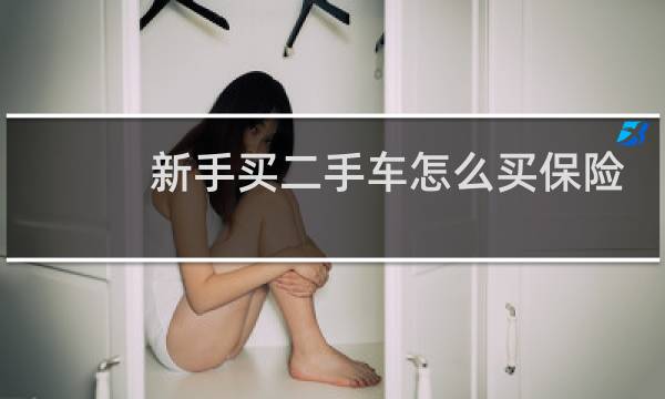 新手买二手车怎么买保险