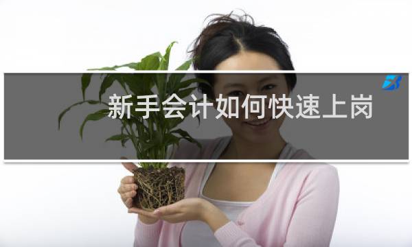 新手会计如何快速上岗