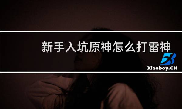 新手入坑原神怎么打雷神