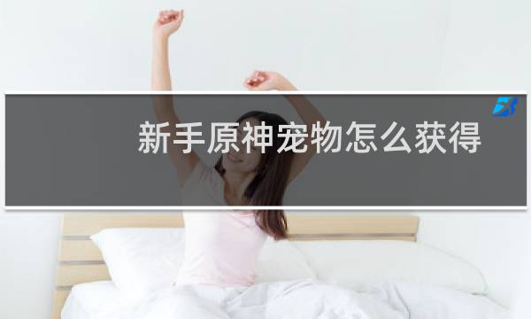 新手原神宠物怎么获得