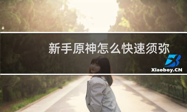 新手原神怎么快速须弥