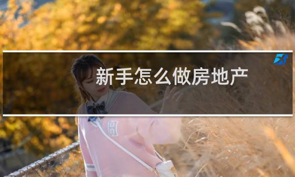 新手怎么做房地产