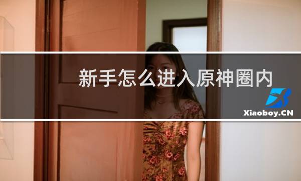 新手怎么进入原神圈内