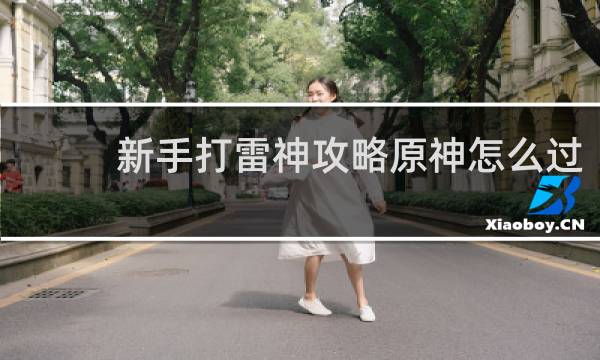 新手打雷神攻略原神怎么过