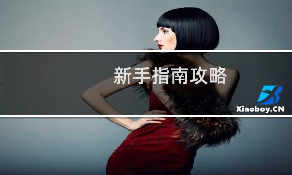 新手指南攻略