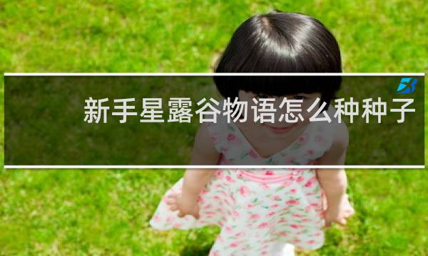 新手星露谷物语怎么种种子