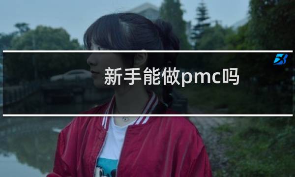 新手能做pmc吗
