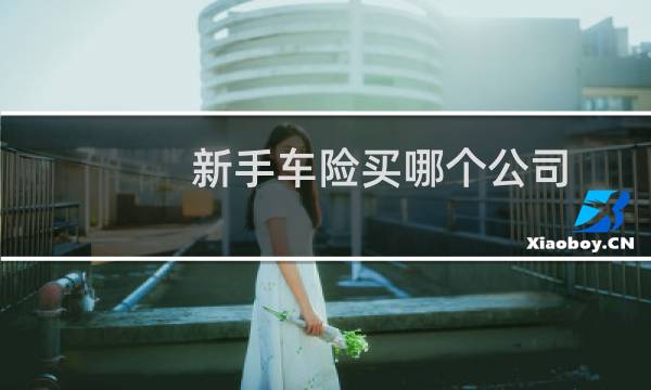 新手车险买哪个公司