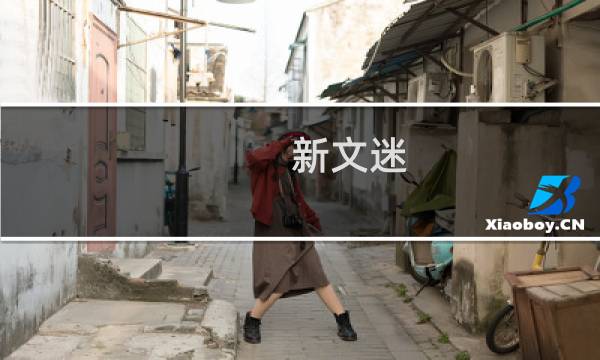 新文迷 攻略
