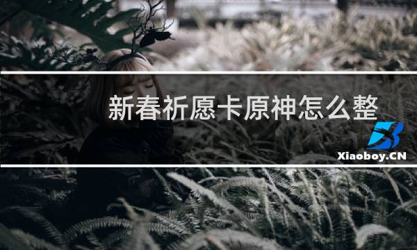 新春祈愿卡原神怎么整