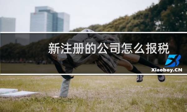 新注册的公司怎么报税