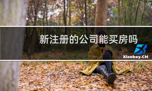 新注册的公司能买房吗
