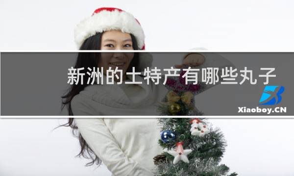 新洲的土特产有哪些丸子