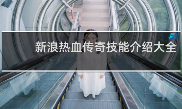 新浪热血传奇技能介绍大全