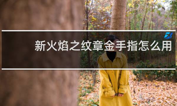 新火焰之纹章金手指怎么用