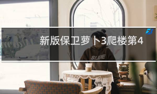 新版保卫萝卜3爬楼第4