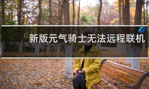 新版元气骑士无法远程联机