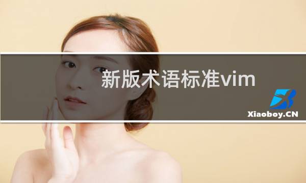 新版术语标准vim