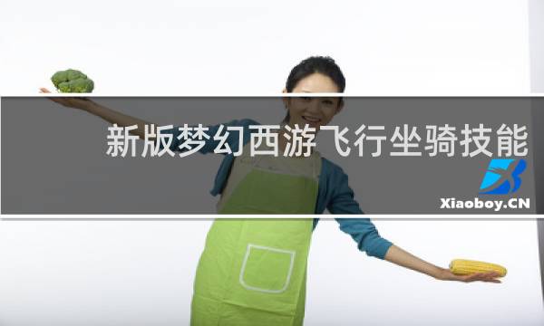 新版梦幻西游飞行坐骑技能