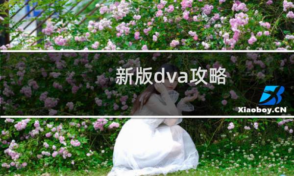 新版dva攻略