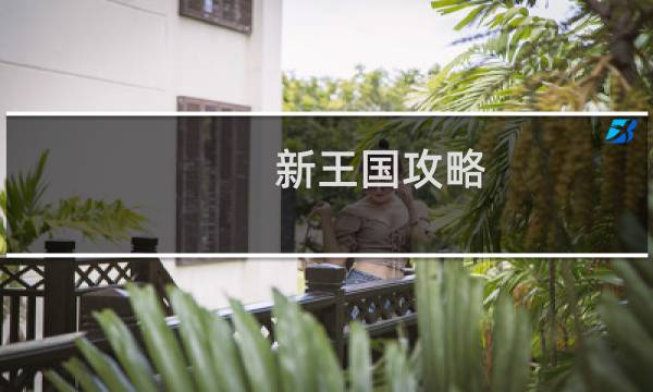 新王国攻略