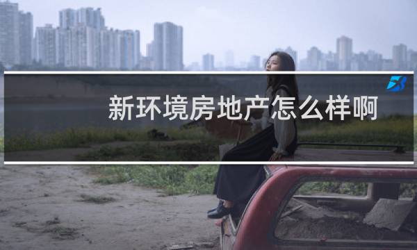 新环境房地产怎么样啊